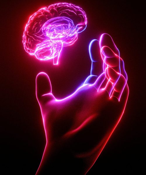 tsd-studio-9_jvKRbNdTM-unsplash